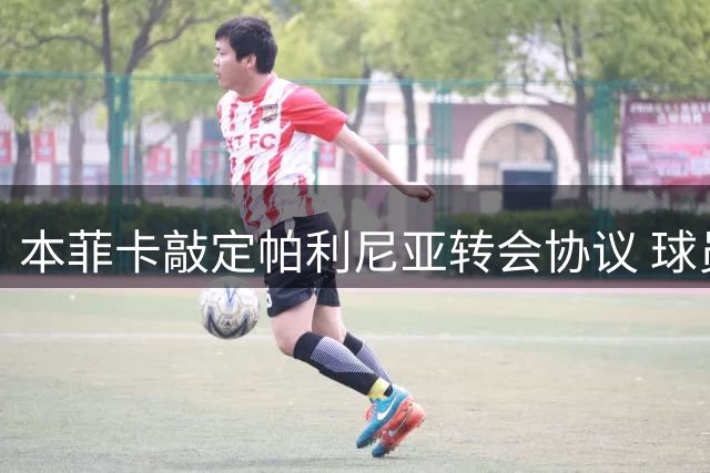本菲卡敲定帕利尼亚转会协议 球员与拜仁解约程序尚在进行